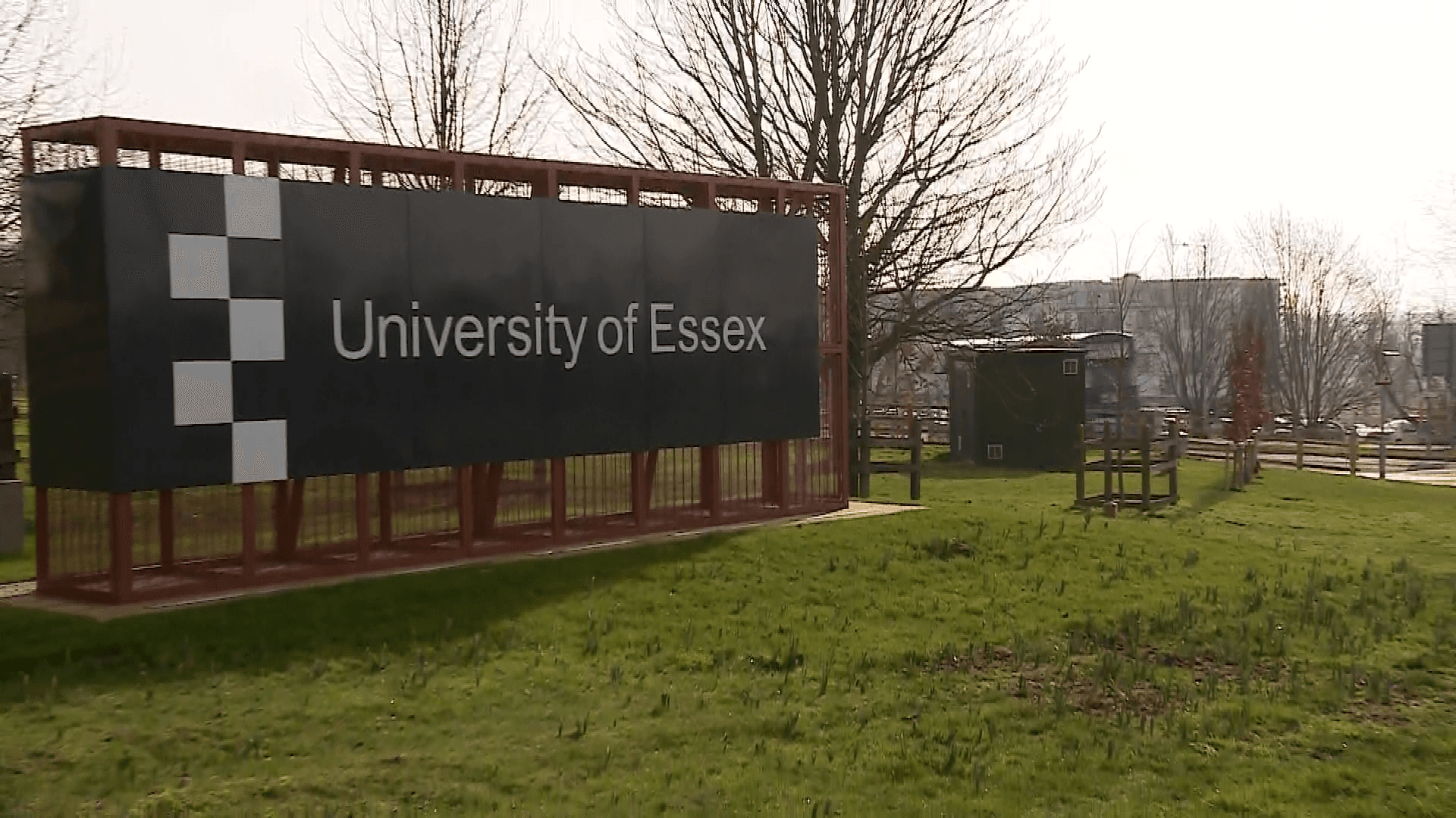 university of essex campus 4